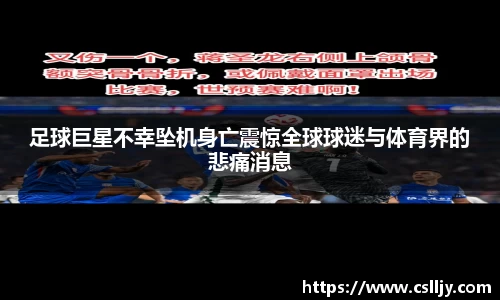 足球巨星不幸坠机身亡震惊全球球迷与体育界的悲痛消息